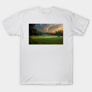 Making Hay T-Shirt